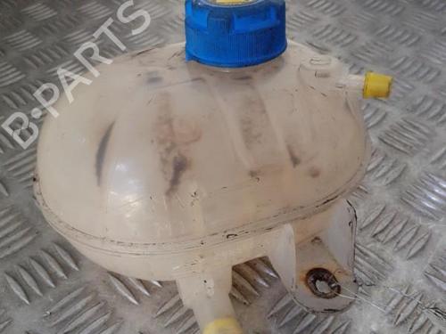 Expansion tank FIAT 500 (312_) 1.3 D Multijet (312AXE1A) | BP24751344C120
