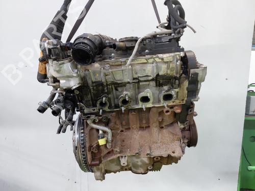 Engine RENAULT KANGOO Express (FW0/1_) 1.5 dCi 95 (FW16) | BP32510247M1 - Image 6