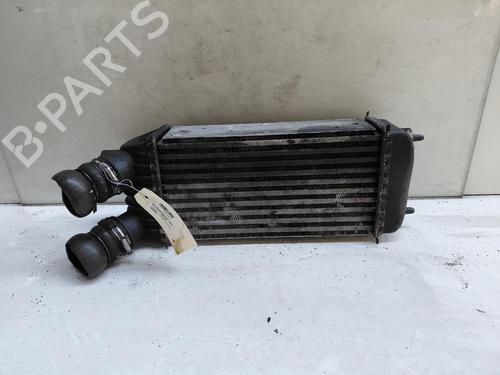 Intercooler CITROËN JUMPY II Van 1.6 HDi 90 16V | BP39729111M30 - Image 2