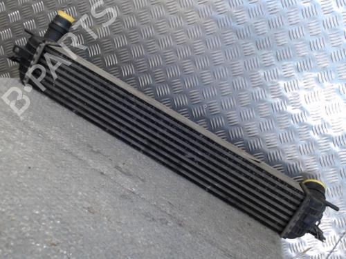 Intercooler RENAULT LAGUNA III Grandtour (KT0/1) 1.5 dCi (KT0A, KT0R, KT02) (110 hp) 24754529