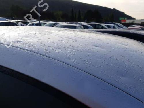 Rear left exterior door handle RENAULT CLIO III (BR0/1, CR0/1) 1.5 dCi (BR17, CR17) | BP24766295C130 
