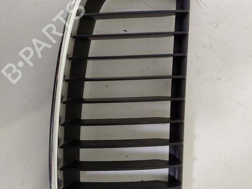 Used Grille BMW 3 Touring (E91) 320 d (177 hp) 30819491