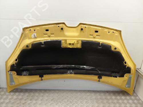 hood-renault-kangoo-express-fw01_-2008-33681530 main image