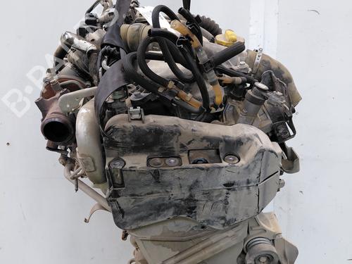 Engine RENAULT KANGOO Express (FW0/1_)  | BP34039339M1  - Image 7