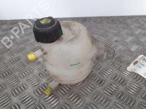 Used Expansion tank Expansion tank DACIA SANDERO 1.2 16V (75 hp) 24747298 24747298