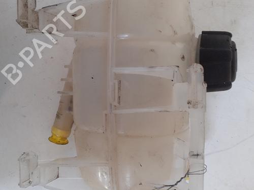 Used Expansion tank RENAULT KANGOO / GRAND KANGOO II (KW0/1_) 1.2 TCe 115 (KW02, KW14) (115 hp) 28067298