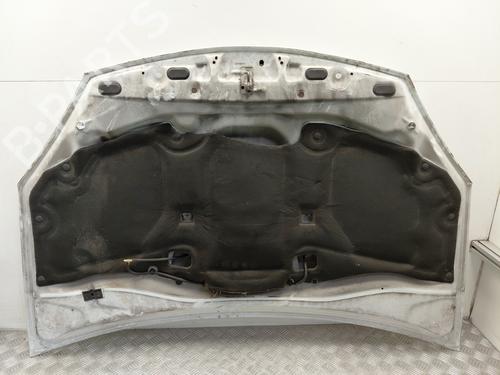 hood-dacia-sandero-2008-31910125 main image