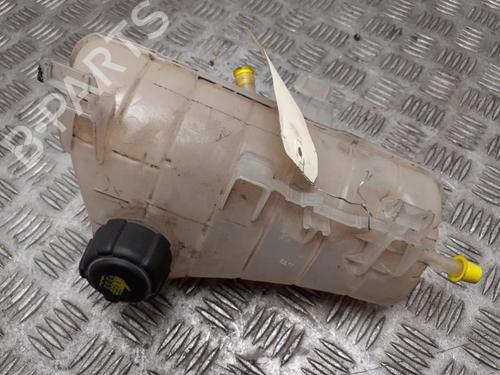 Used Expansion tank RENAULT KANGOO Express (FW0/1_) 1.5 dCi 75 (FW07, FW10, FW04) (75 hp) 24751598