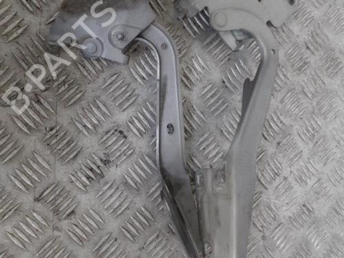 Used Hinge/Door check strap RENAULT MEGANE III Hatchback (BZ0/1_, B3_) 1.5 dCi (BZ09, BZ0D, BZ1W, BZ29, BZ14) (110 hp) 24748786