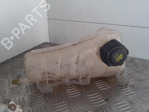 Expansion tank RENAULT KANGOO Express (FW0/1_) 1.5 dCi 90 (FW0G, FW05, FW08, FW11) | BP24749434C120 