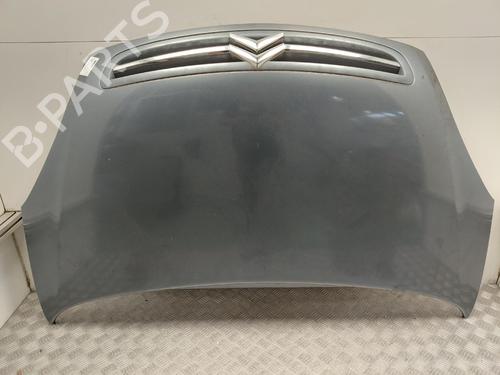 Panser Panser CITROËN XSARA PICASSO (N68) 1.6 HDi (90 hp) 38750882 38750882