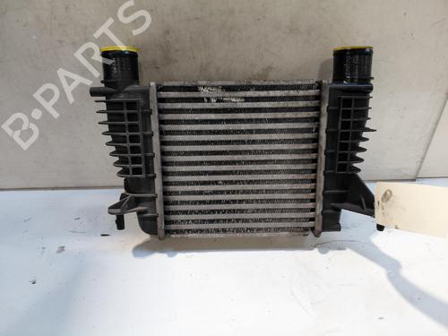 intercooler-renault-clio-iii-br01-cr01-2005-2006-2007-2008-2009-2010-2011-2012-2013-2014-39233880 main image