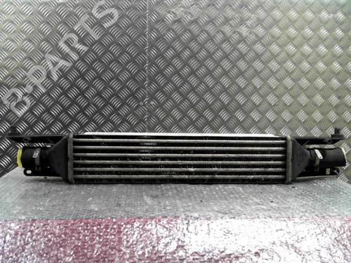 Used Intercooler Intercooler FIAT GRANDE PUNTO (199_) 1.3 D Multijet (75 hp) 24752682 24752682