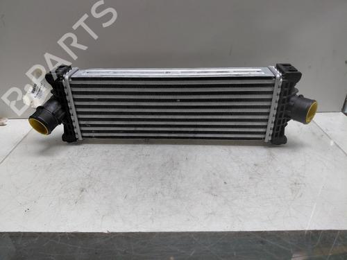 Intercooler Intercooler FORD TRANSIT V363 Platform/Chassis (FED, FFD) [2013-2026] 36284089 36284089