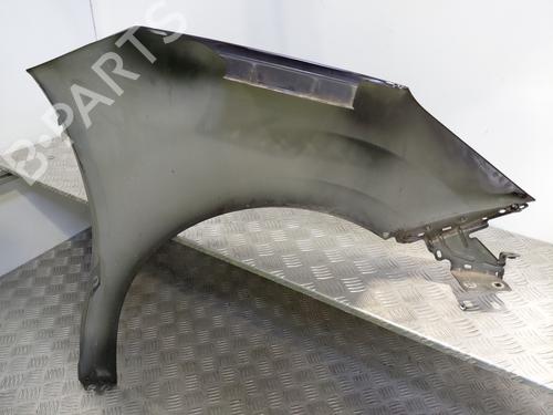 Left front fenders CITROËN C3 II (SC_) 1.6 HDi | BP30176921C41 