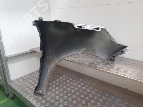 Used Left front fenders RENAULT GRAND SCÉNIC III (JZ0/1_) 1.9 dCi (JZ0J, JZ0N, JZ1K, JZ1S) (131 hp) 24741361