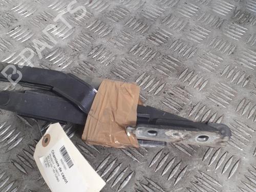 Hinge/Door check strap PEUGEOT 807 (EB_) 2.2 HDi | BP24739970C146 