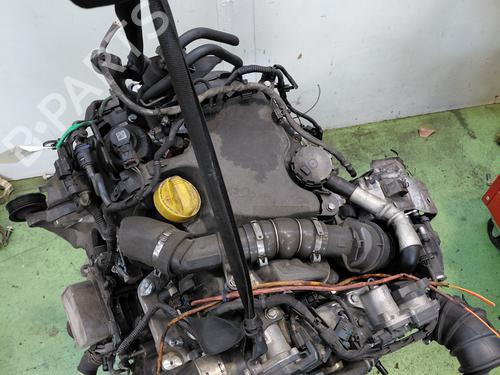 Engine RENAULT KANGOO Express (FW0/1_)  | BP34242195M1  - Image 6