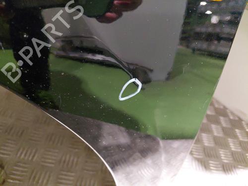 Left front fenders RENAULT MEGANE III Grandtour (KZ0/1) 1.5 dCi (KZ09, KZ0D, KZ1G, KZ29, KZ14, KZ1W, KZ10, KZ1F,... | BP29197424C41 