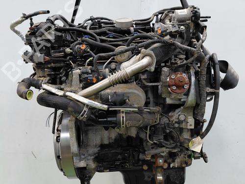 Engine FORD FOCUS III  | BP33968505M1  - Image 6