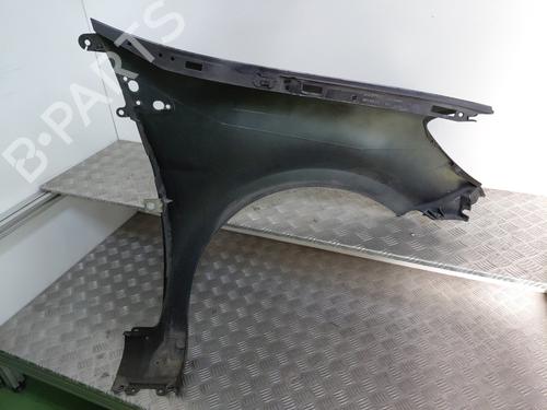 Left front fenders RENAULT CLIO III (BR0/1, CR0/1) 1.5 dCi (C/BR0G, C/BR1G) | BP29284078C41 
