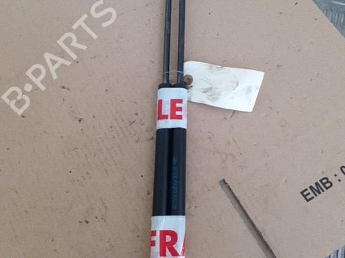 Used Tailgate lift support CITROËN C3 I (FC_, FN_) 1.4 HDi (68 hp) 24739268