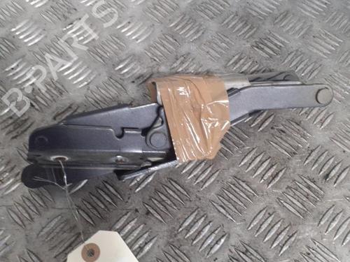 Used Hinge/Door check strap PEUGEOT 807 (EB_) 2.2 HDi (128 hp) 24739970