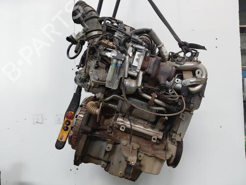 Motor RENAULT KANGOO Express (FW0/1_) 1.5 dCi 90 (FW0G, FW05, FW08, FW11) | BP29528462M1 