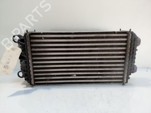 Used Intercooler Intercooler PEUGEOT 2008 II (UD_, US_, UY_, UJ_, UR_, UC_) 1.2 PureTech 130 (USHNS, URHNS) (130 hp) 27604550 27604550