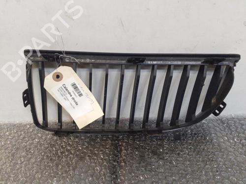 Used Grille BMW 3 (E90) 320 d (163 hp) 24749981