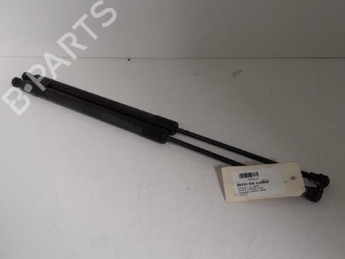 Used Tailgate lift support RENAULT SCÉNIC III (JZ0/1_) 1.9 dCi (JZ0J, JZ1J, JZ1K, JZ1S) (131 hp) 24741284