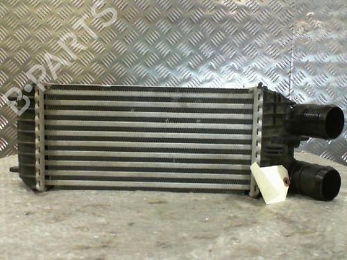 Intercooler CITROËN C3 Picasso (SH_) 1.2 THP 110 (SHHNZ6) | BP24742558M30 - Image 2