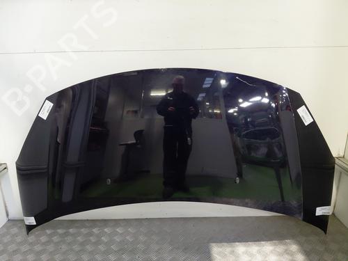 Used Hood CITROËN C3 II (SC_) 1.2 VTi 82 (82 hp) 30790658