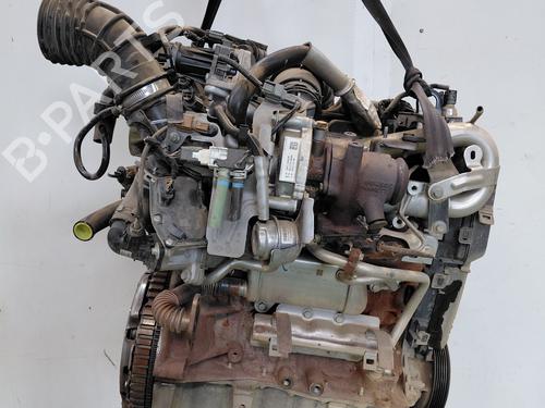 Used Engine Engine RENAULT KANGOO Express (FW0/1_) [2008-2026] 34039338 34039338