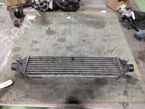 Used Intercooler FIAT BRAVO II (198_) 1.9 D Multijet (198AXB1A) (120 hp) 24747083