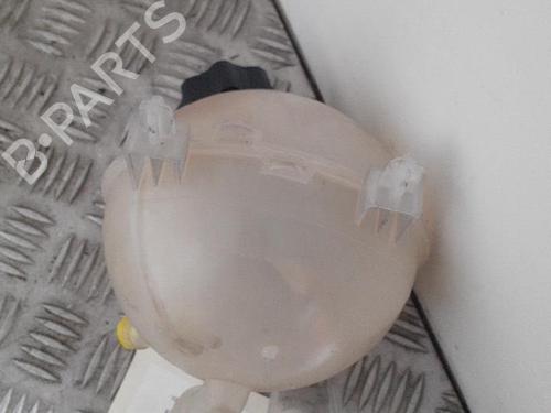 Used Expansion tank CITROËN C4 Grand Picasso I (UA_) 2.0 HDi 138 (136 hp) 24749610