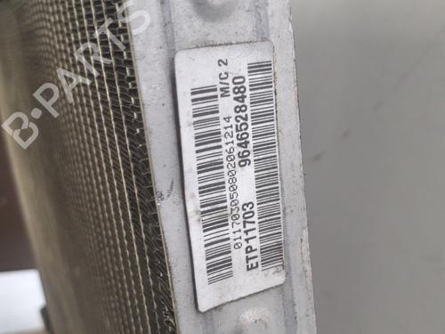 Used Water radiator Water radiator CITROËN BERLINGO / BERLINGO FIRST MPV (MF_, GJK_, GFK_) 1.6 HDI 90 (MF9HX) (90 hp) 28058010 28058010