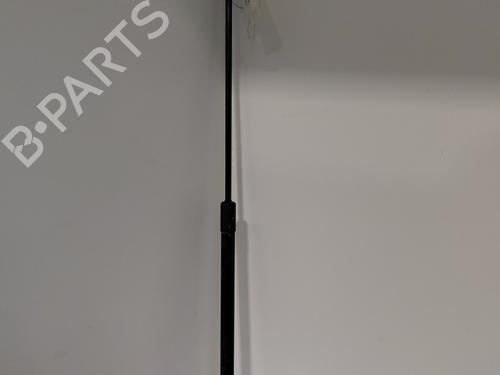 Used Hood lift support RENAULT MEGANE III Hatchback (BZ0/1_, B3_) 1.5 dCi (BZ09, BZ0D, BZ1W, BZ29, BZ14) (110 hp) 31054198