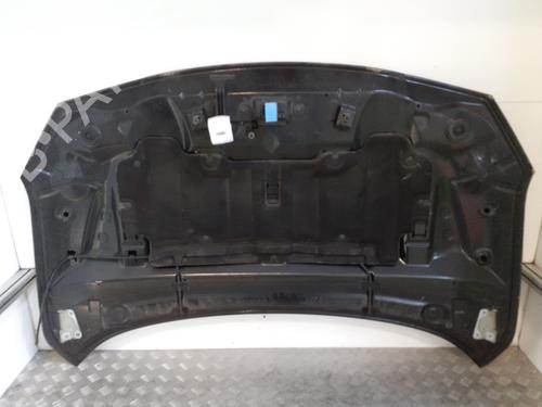 hood-renault-fluence-l3_-2010-24760994 main image