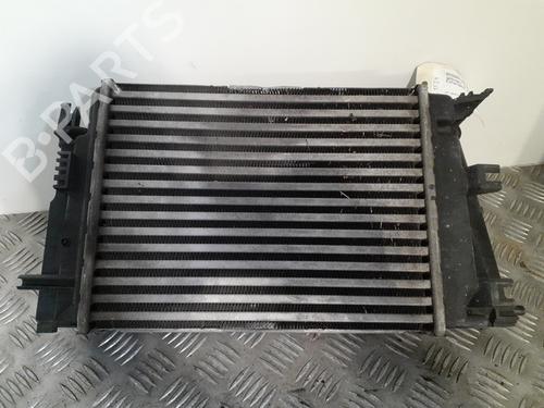 Used Intercooler Intercooler NISSAN QASHQAI II (J11, J11_) 1.3 DIG-T (140 hp) 24754067 24754067