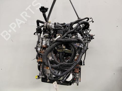 Engine FORD TRANSIT V363 Platform/Chassis (FED, FFD) | BP32308093M1 - Image 4