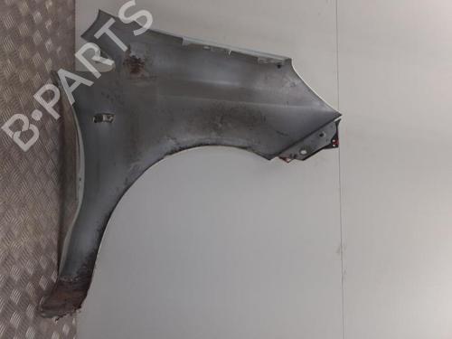 Left front fenders OPEL CORSA D (S07) 1.3 CDTI (L08, L68) | BP24749944C41 