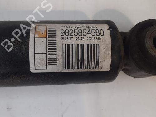 left-rear-shock-absorber-ds-ds-3-sa_-2015-2016-2017-2018-2019-24764017 main image