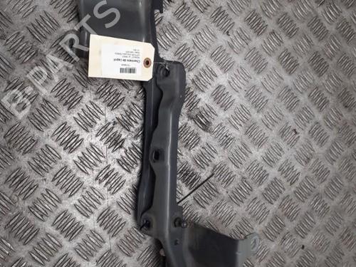 hingedoor-check-strap-renault-latitude-l70_-2010-24756483 main image