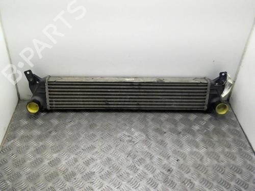 Used Intercooler SUZUKI SX4 (EY, GY) 1.6 DDIS (RW416D) (90 hp) 24759327