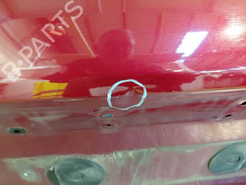 Tailgate NISSAN JUKE (F15) 1.6 | BP24741358C6 