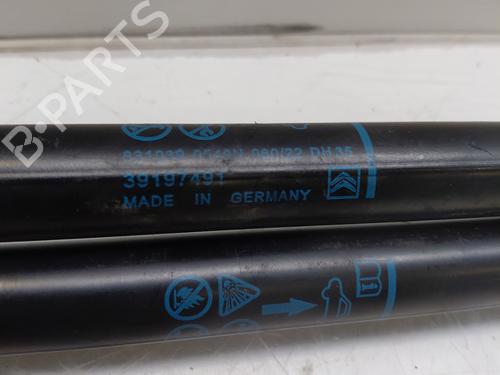 tailgate-lift-support-citroen-c3-aircross-ii-2r_-2c_-2017-32977444 main image