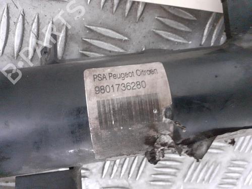 Used Left front shock absorber CITROËN C3 II (SC_) 1.4 VTi 95 (95 hp) 24767790
