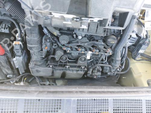 - Image 5