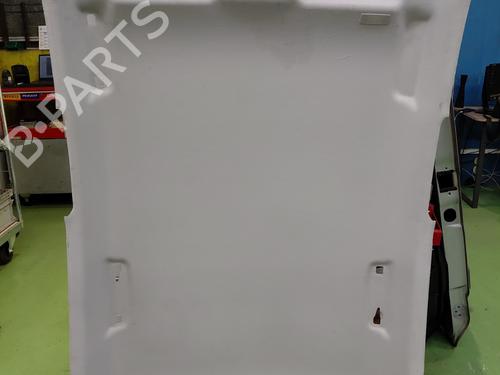 Tecto interior RENAULT CLIO V (B7_) 1.0 TCe 90 (B7MT) (91 hp) 32423917